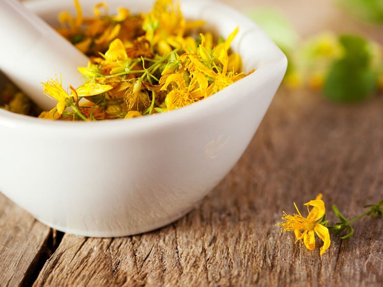 Natural Sources of Hypericin Natural Sources of Hypericin