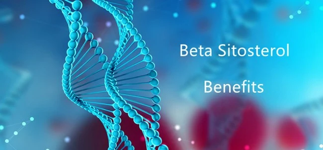 Beta Sitosterol Powder Benefits