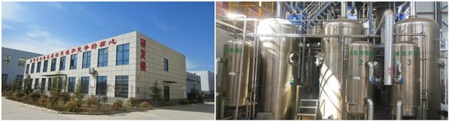 Our Factory and Equipment