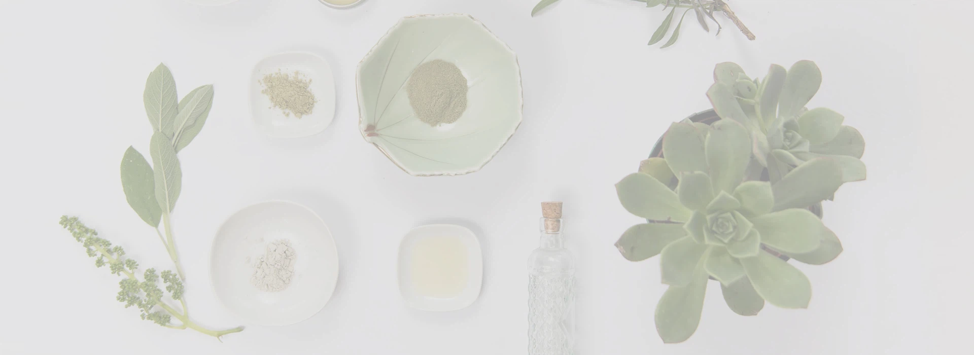 Shaanxi  Afiechyd  Natur  Diwydiant  Co.,  Cyf