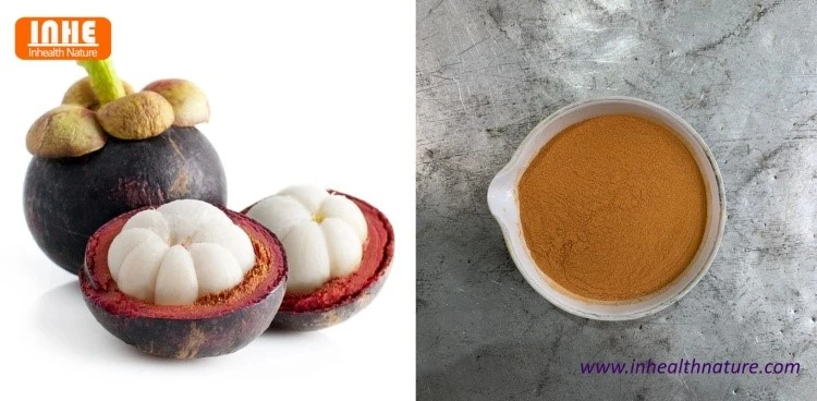 Mangosteen Pericarp and Mangosteen Extract Powder